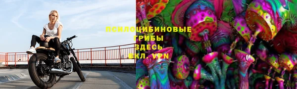 соль ск Алзамай