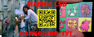 дмт Камышлов