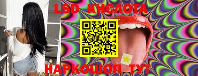 дмт Камышлов