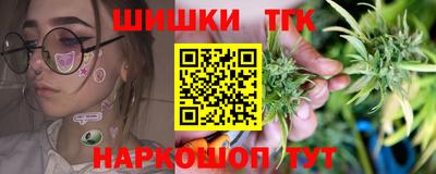 ешки Майкоп