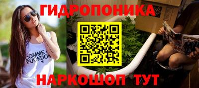 каннабис Кандалакша